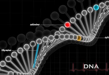 150324dna