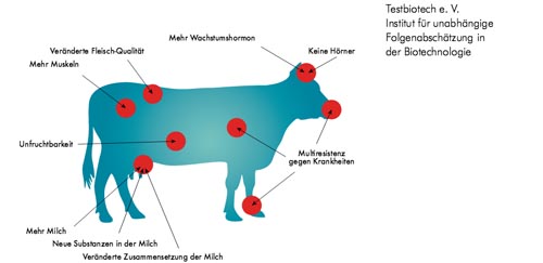 04022016 Testbiotech