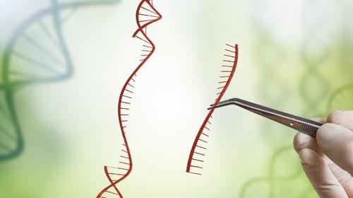 gene Fotolia 172051484 S