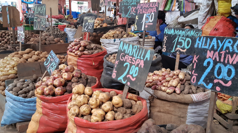 200412 News Potatoes