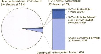 bild_gvografik